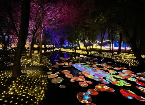 イルミネーション